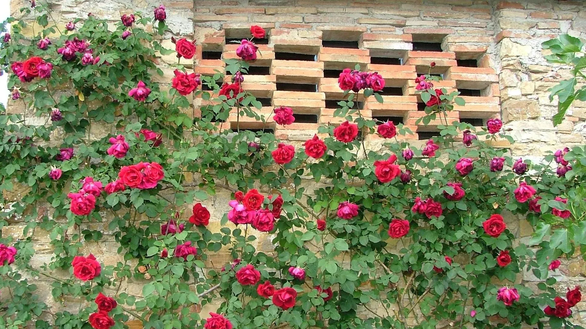 Apartment Gemuetliche Blaue Wohnung Mit Garten San Donato in Poggio