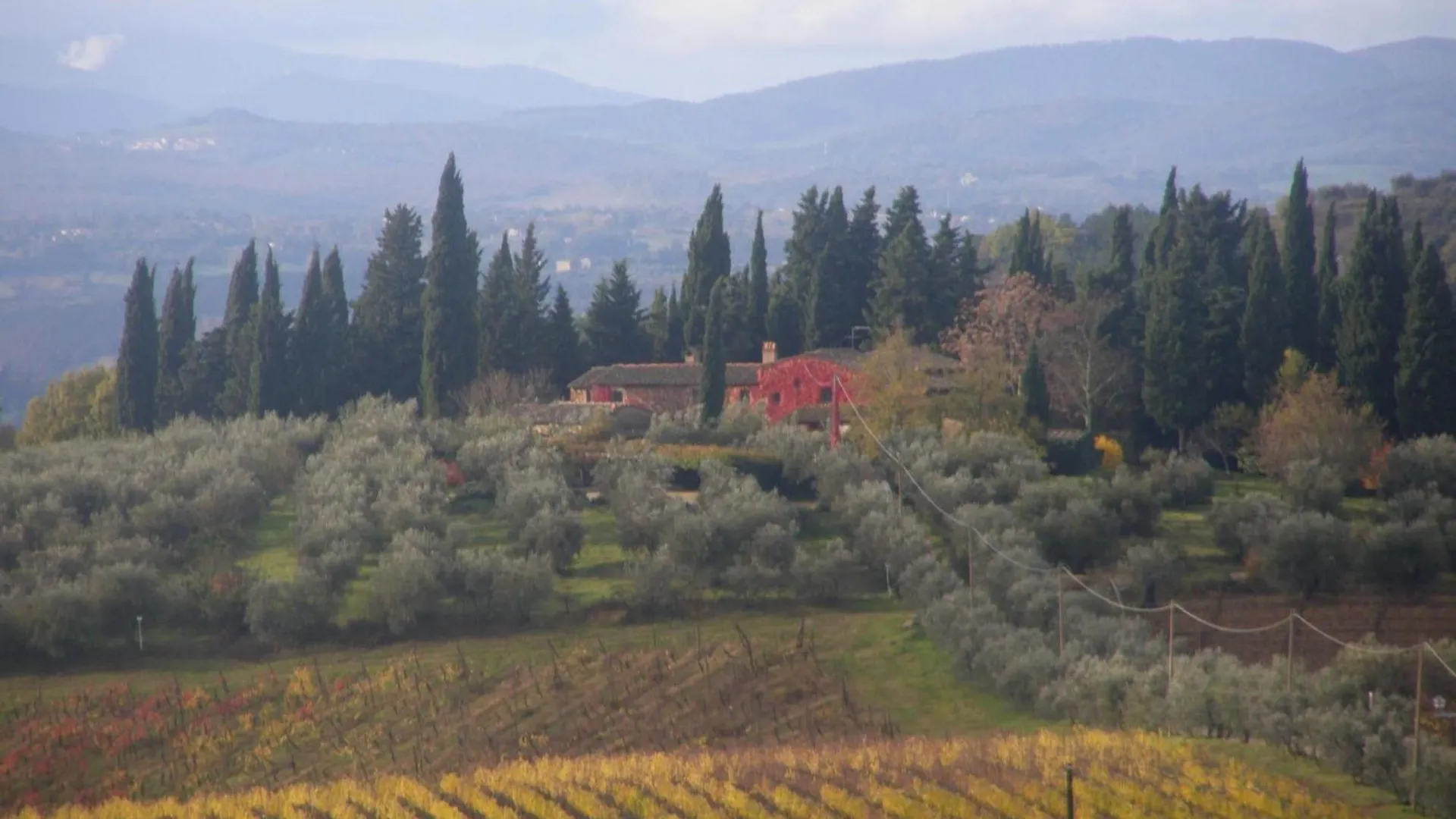 Gemuetliche Blaue Wohnung Mit Garten Italy